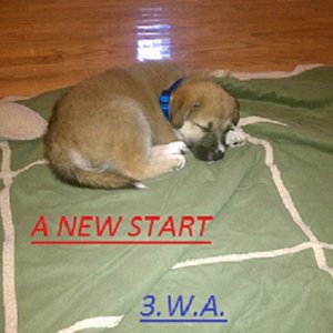 Image pour 'A New Start'