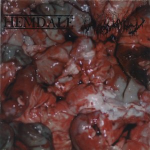 In The Name Of Gore