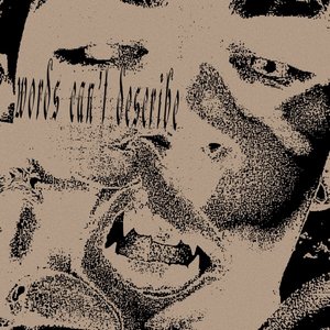 Words can't describe