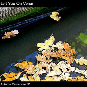 Autumn Carnations