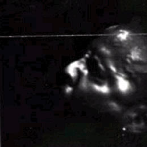 Dodd photo provided by Last.fm