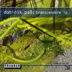 TRANSCENDERE LP