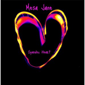 Spandex Heart