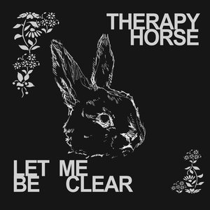 LET ME BE CLEAR