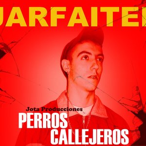 Perros Callejeros