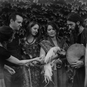 Image for 'Pokrzyk'