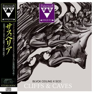 BLVCK CEILING X △Sco△ 的头像
