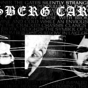 Venusberg Cardinal 的头像
