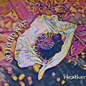 Wildflower (Just Add Sun) - Single