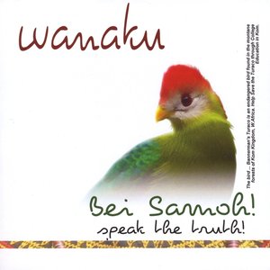 Bei Samoh - Tell the Truth