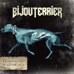 BijouTerrier music, videos, stats, and photos | Last.fm
