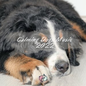 Calming Dogs Music