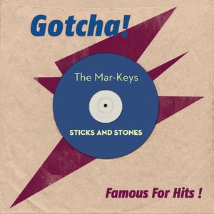 Sticks and Stones (Famous for Hits!)