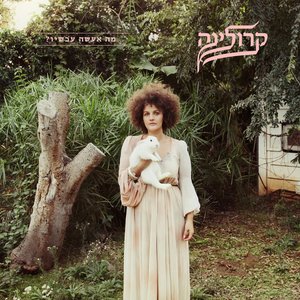 מה אעשה עכשיו ?