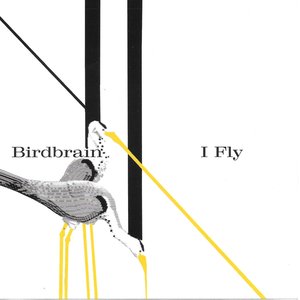 I Fly