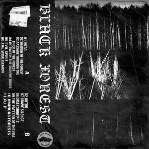 Black Forest