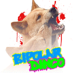 Avatar for Bipolar Dingo