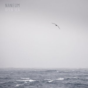 Open Sea