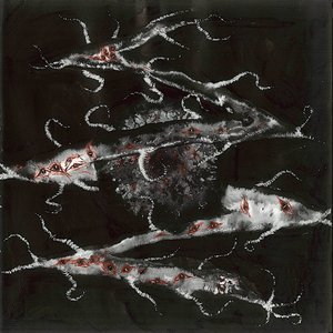 Podré tocar los dientes de la noche