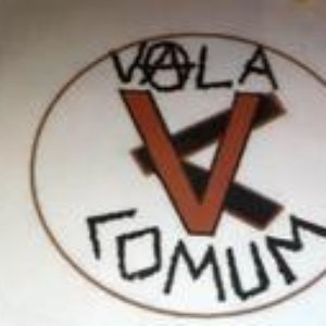 Vala Comum 的头像