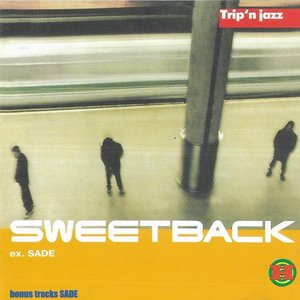 SWEETBACK 正規リリース 重量盤 2LP SADE AMEL レコード