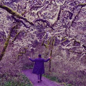 In the Valley of the Purple Prince