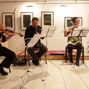 Szilárd Mezei Wind Quartet のアバター