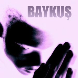 Baykus 的头像