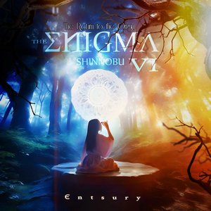 The Enigma VI