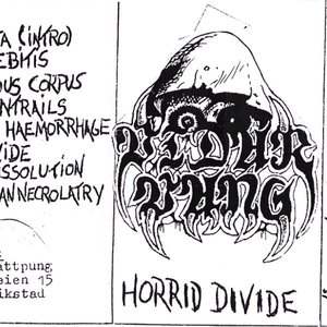 Horrid Divide