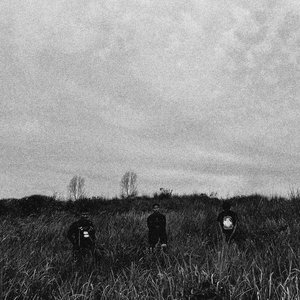 FERAL WOUND 的头像