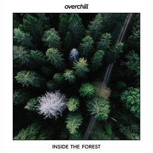 inside the forest
