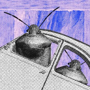 Percevejo 的头像