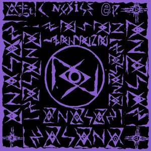 Attic Noise