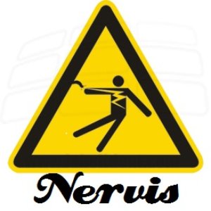 Nervis のアバター