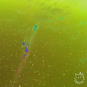 Plastic Star