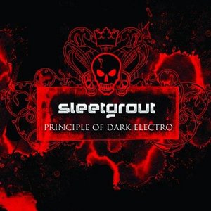 Principle Of Dark Electro