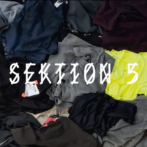 SEKTION 5