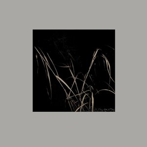 v02 Variations [ I-IV ]
