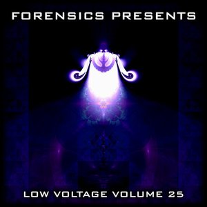 Forensics Presents - Low Voltage Volume 25
