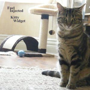 Fuel Injected Kitty Widget