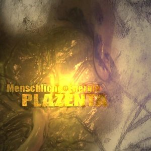 Plazenta