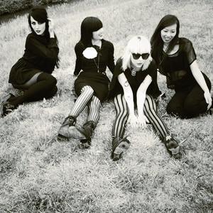 Dum Dum Girls photo provided by Last.fm