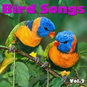 Bird Songs Vol.2