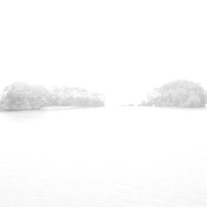 anew