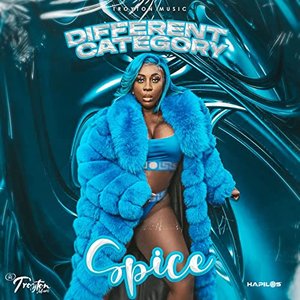 Spice - Different Category - Zortam Music