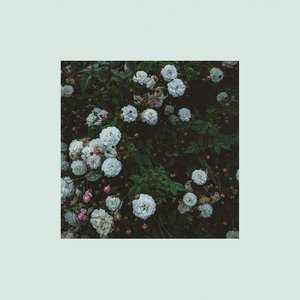 MURMUR