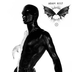 Image for 'Adam Kult'