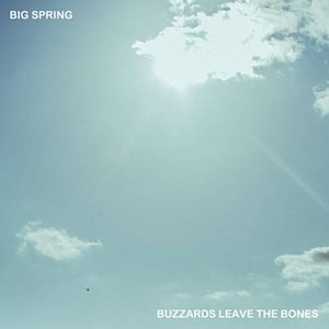 Buzzards Leave the Bones