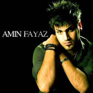 Amin Fayyaz 的头像